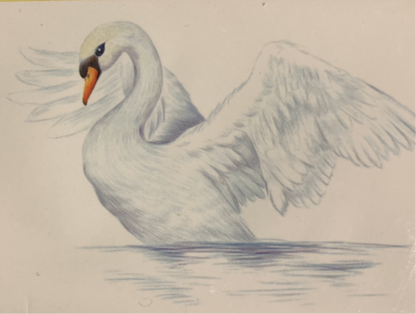 929 diamond painting  zwaan