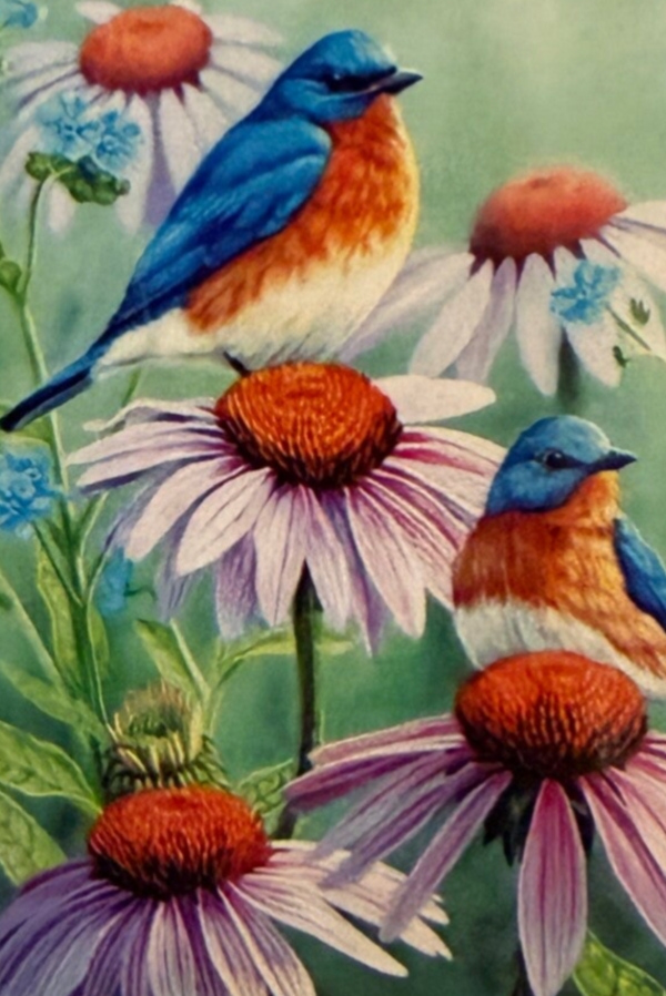 Thd 1007diamond painting vogels en magrieten