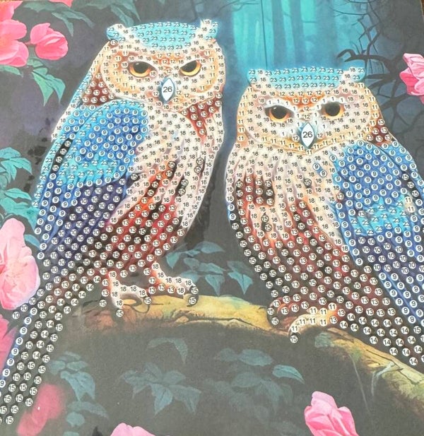 55 diamond painting kaart zonder steentjes