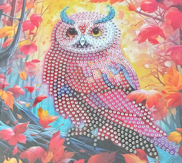 59 diamond painting kaart zonder steentjes