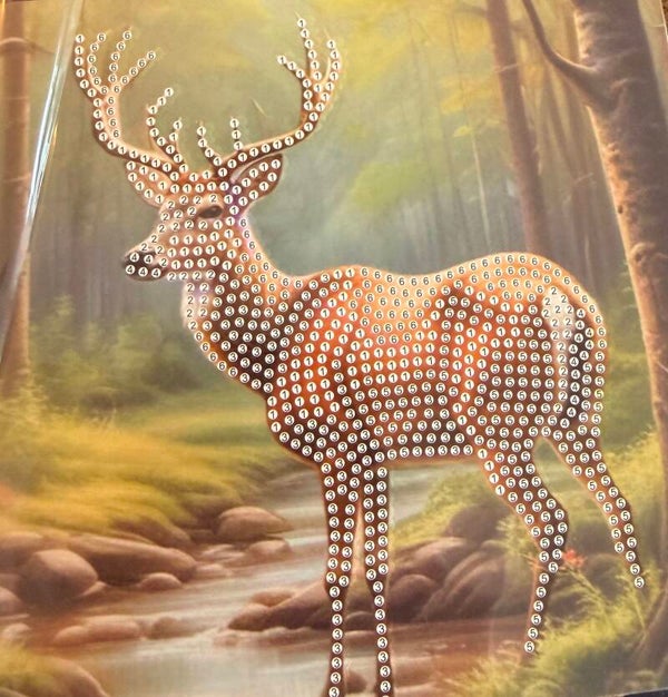 51 Diamond painting kaart zonder steentjes