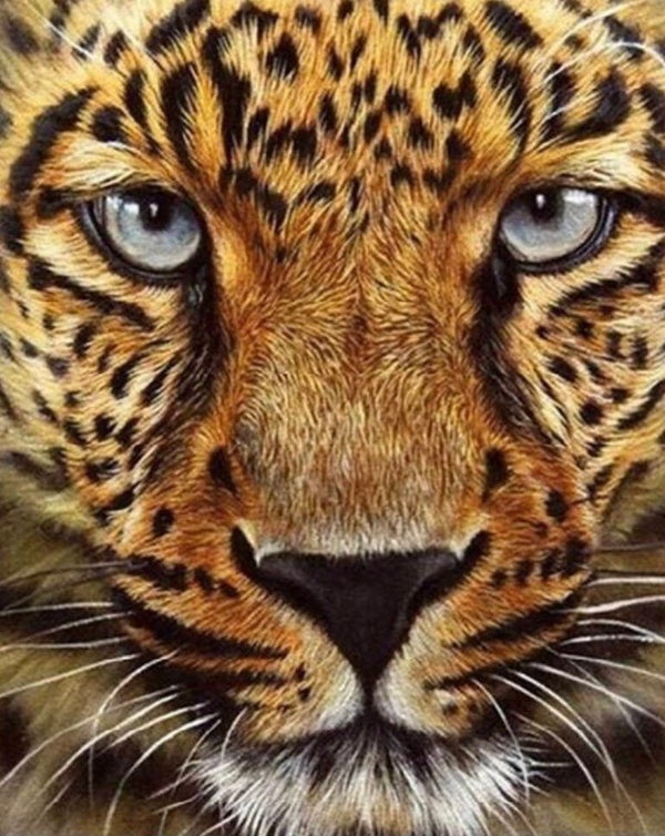 10120 diamond painting leopard