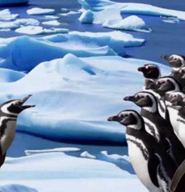 10472 diamond painting piquin