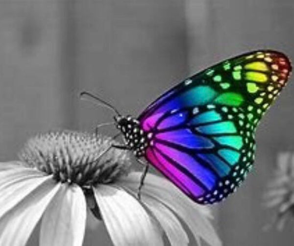 KO 58 diamond painting