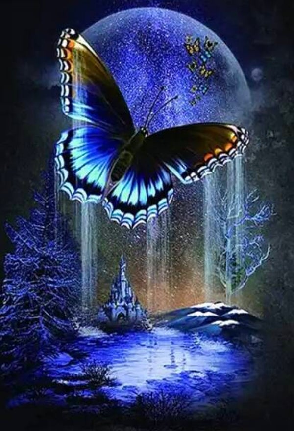 KO 52 diamond painting vlinder