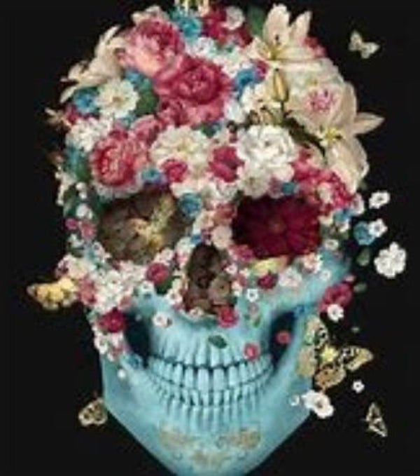 KO 49 diamond painting skull