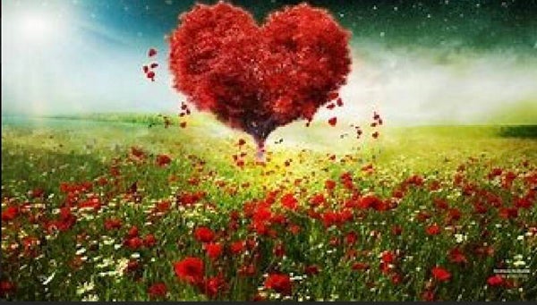 KO 62 diamond painting hart