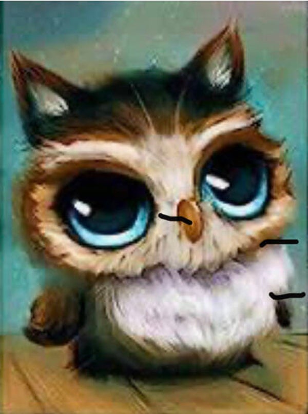 10102 diamond painting uil