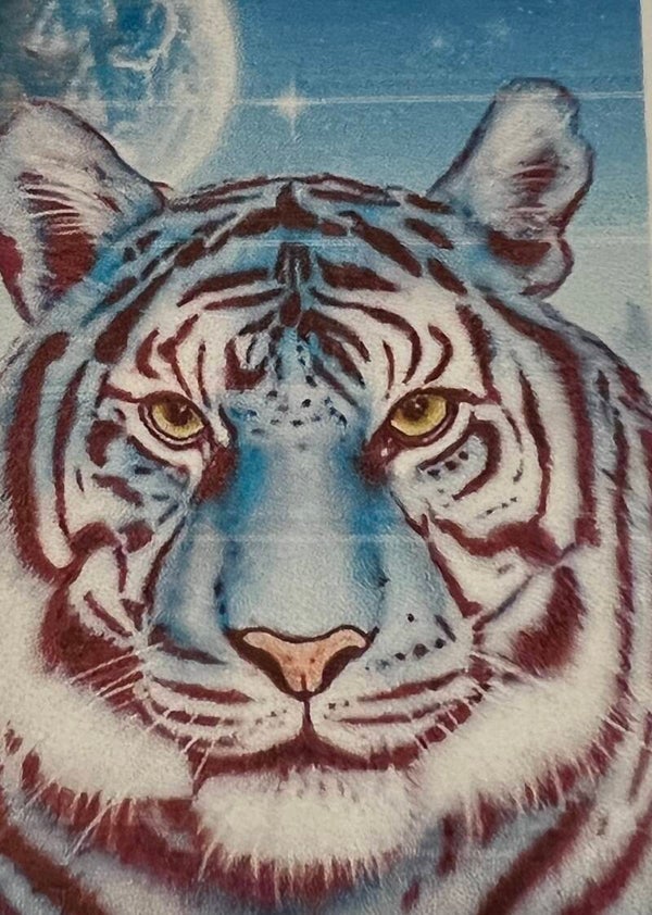 10387 diamond painting tijger