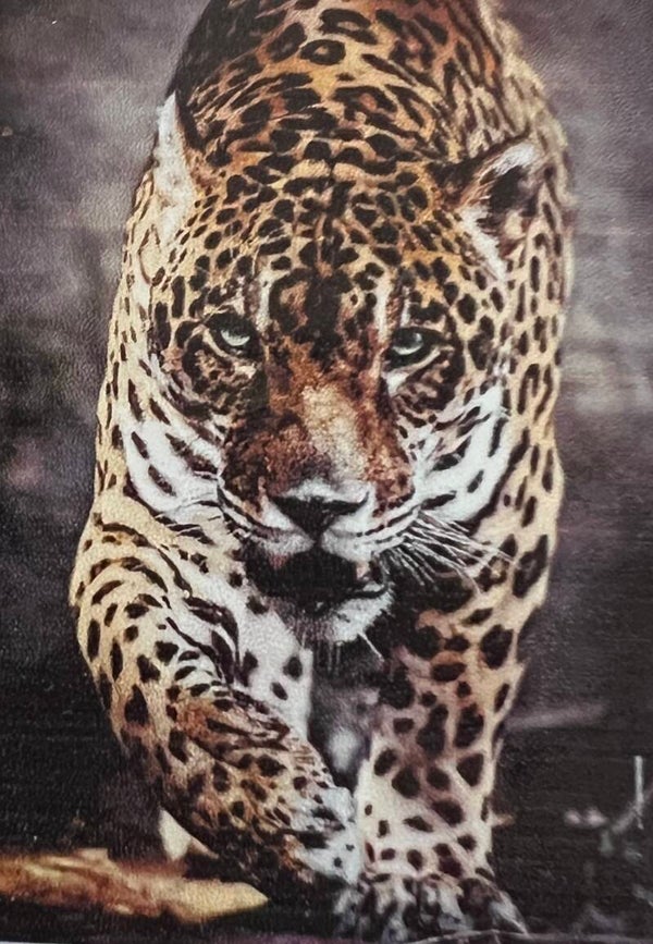 10558 diamond painting luipaard