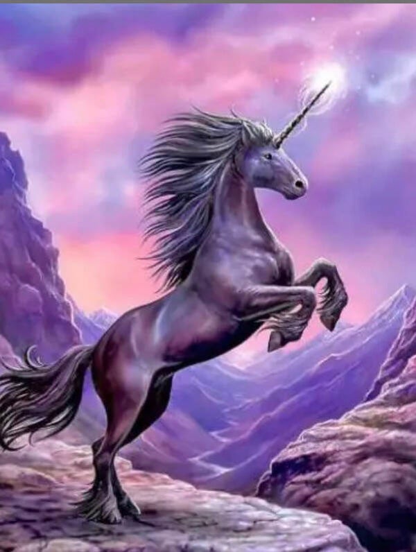 10464 diamond painting unicorn