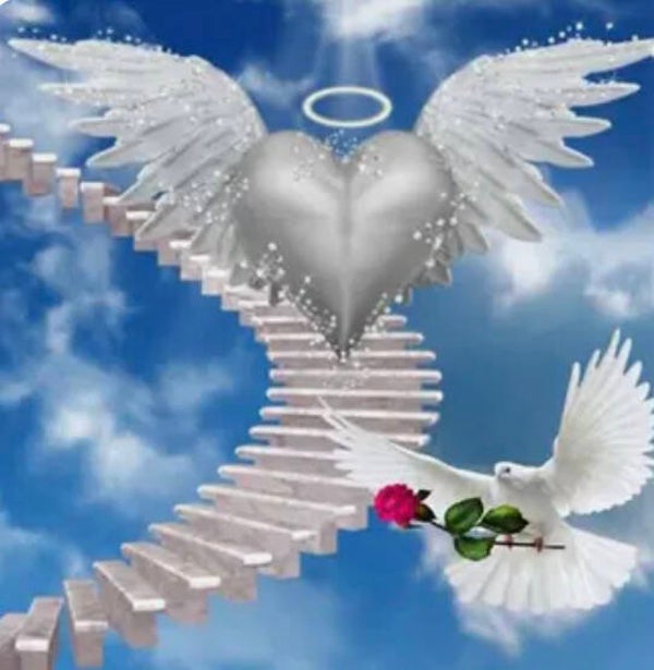 10415 diamond painting duif