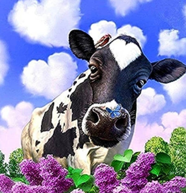 10356 diamond painting koe