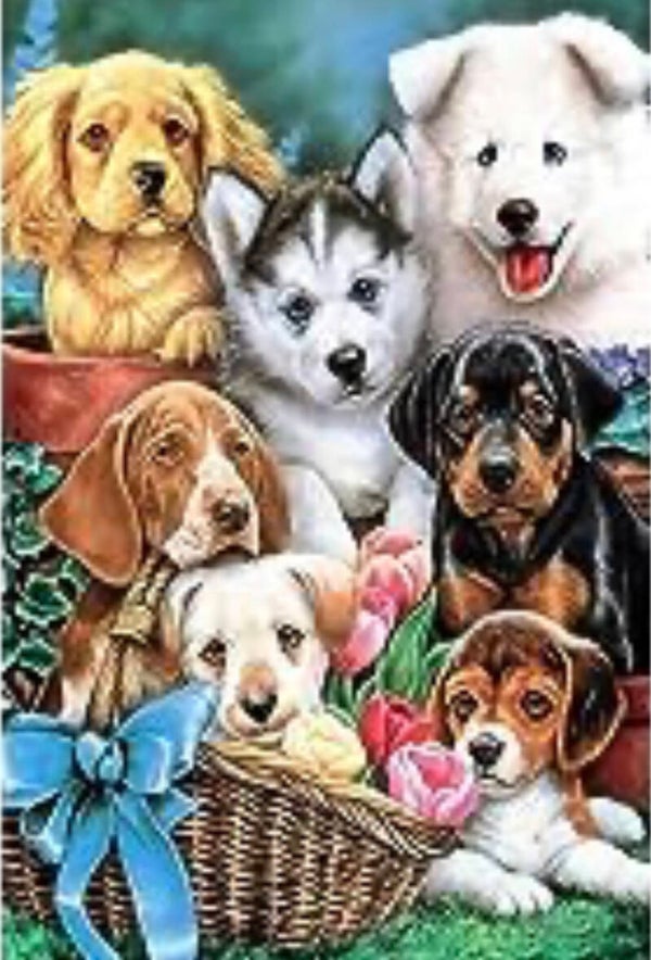 10498 diamond painting honden
