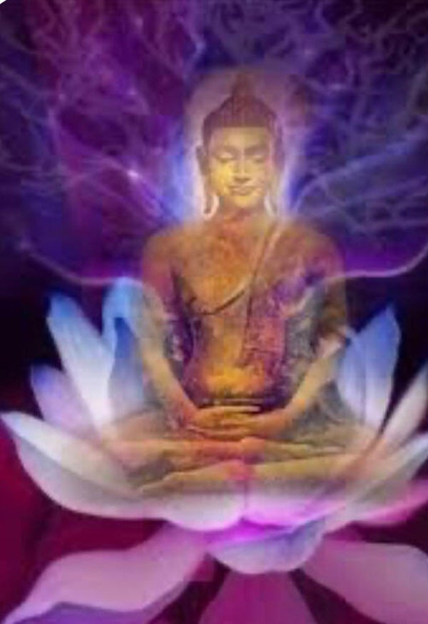 10892 diamond painting boedha