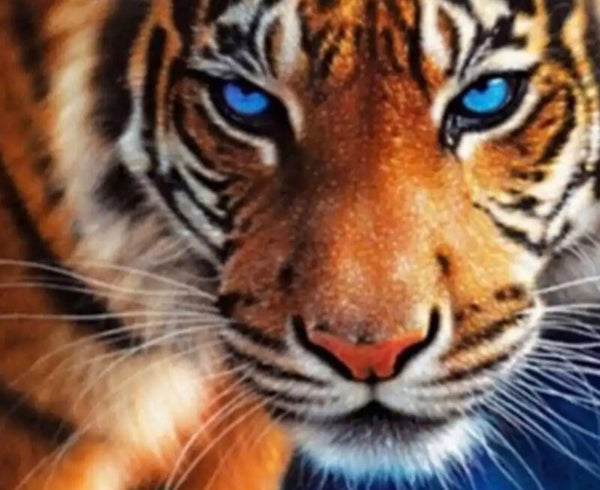 10290 diamond painting tijger