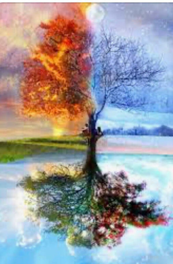 10260 diamond painting 4 seizoenen