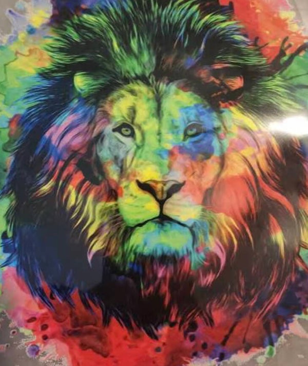 10198 diamond painting tijger