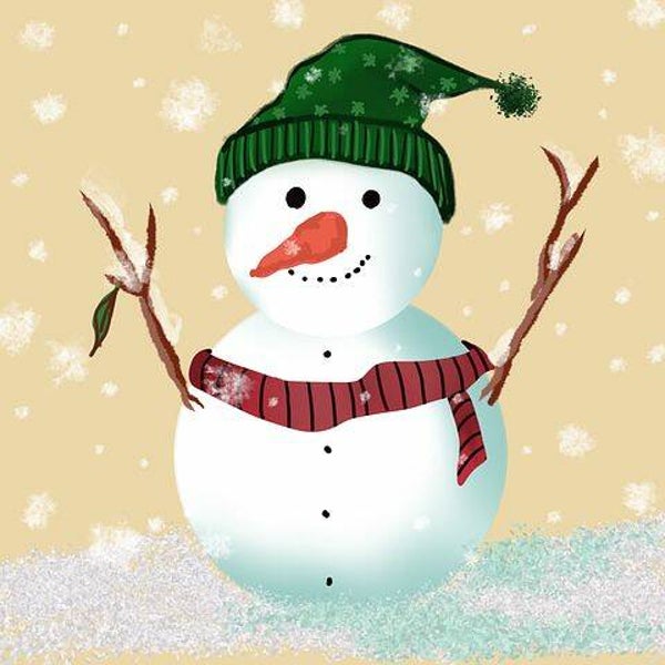 1444 diamond painting sneeuwpop