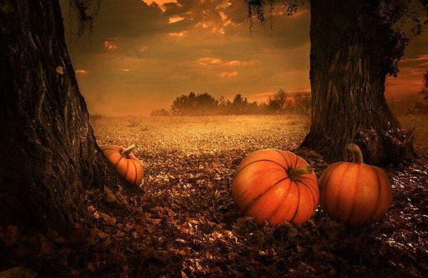1485 diamond painting pumpkin