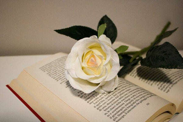 1514 diamond painting roos