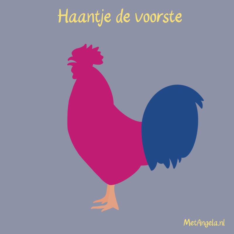 haantje de voorste 