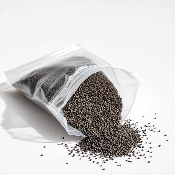 Graines de chia