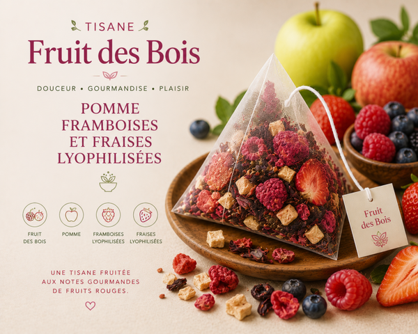 Pyranide tisane fruits des bois