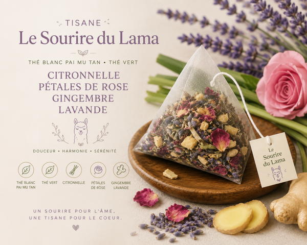 Pyramide le sourire du lama