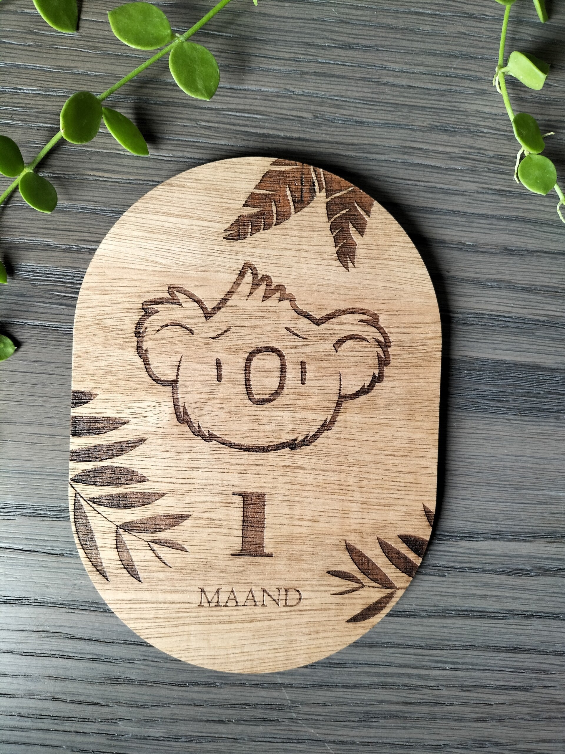 Gegraveerde mijlpaalbordjes - Koala