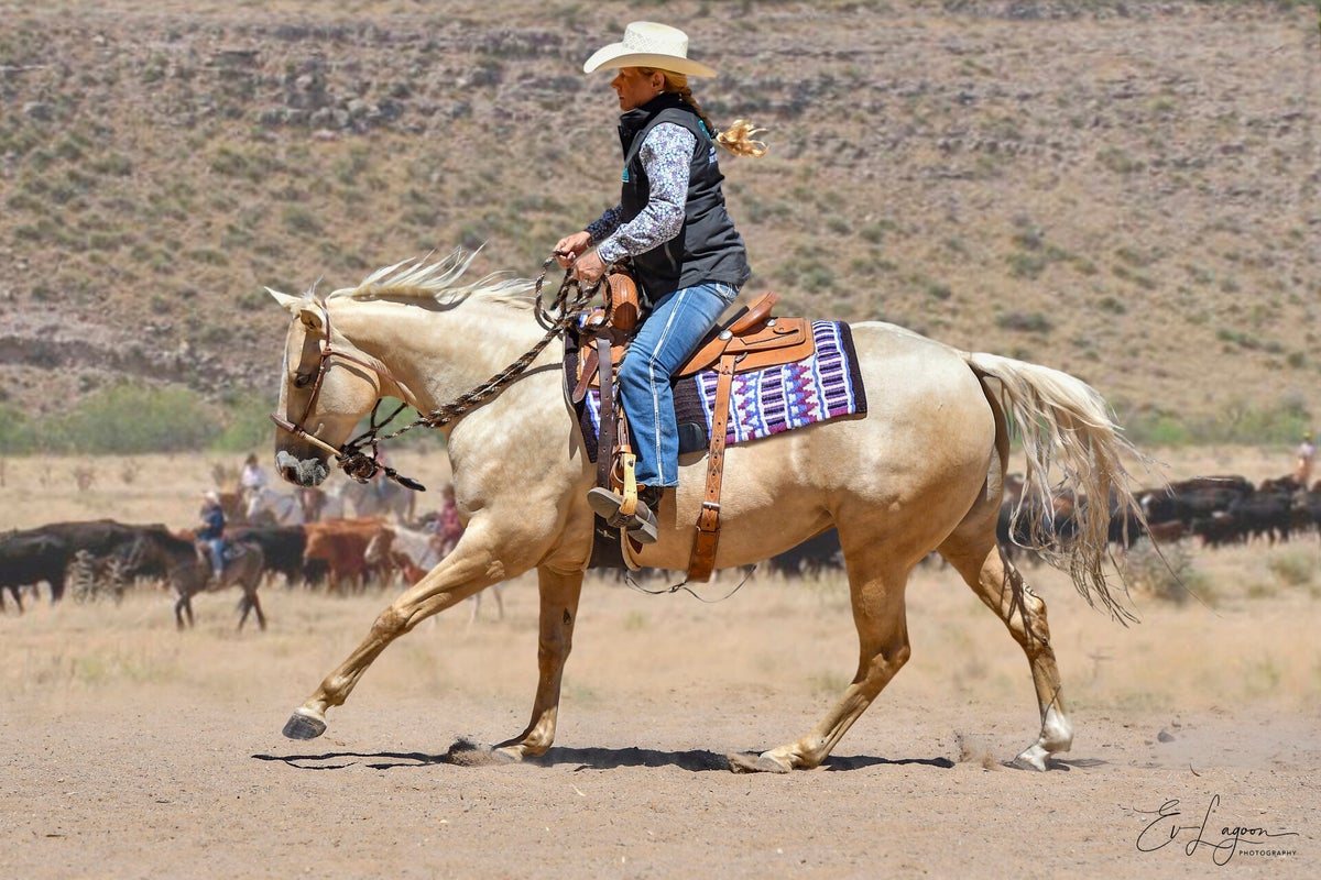 Horse Rsa Ranch Horse Association of South Australia