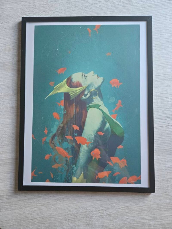 12x16 in frame Dc Poster