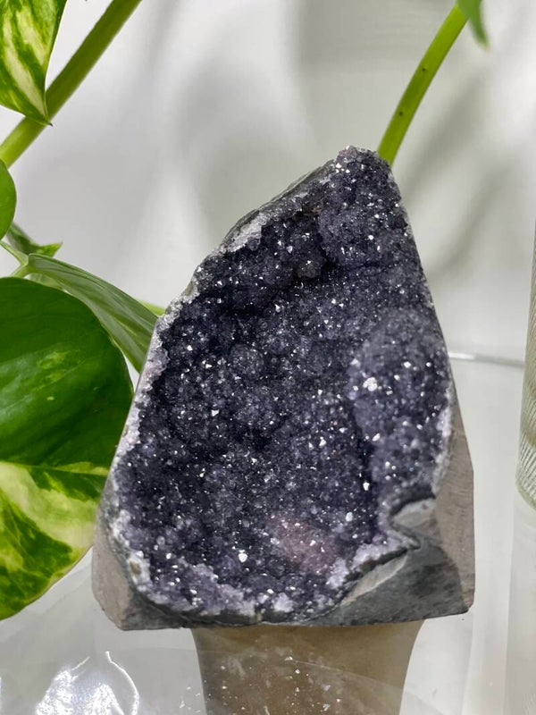 Zwarte Amethist freeform