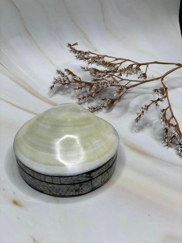 Schelpen sieraden doosje