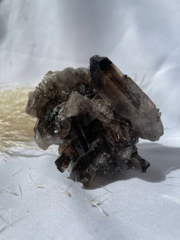Rookkwarts cluster