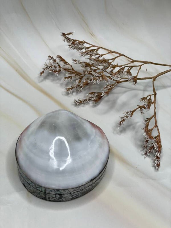 Schelpen sieraden doosje