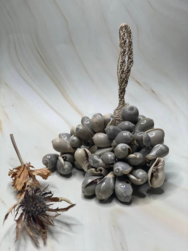 Schelpen Bundel