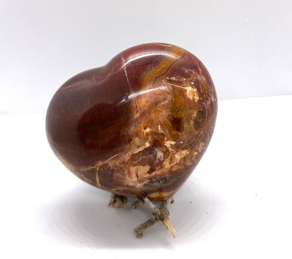 Versteend hout hart