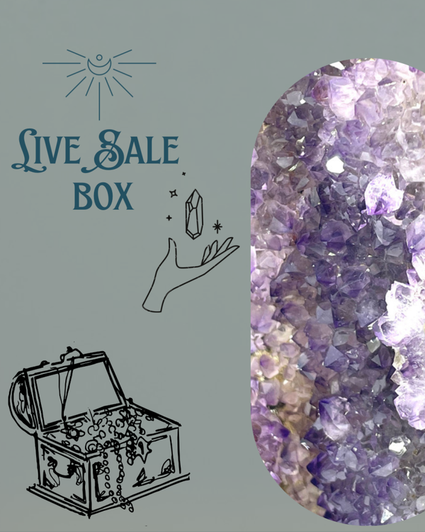 Box Patricia 22-7 open box