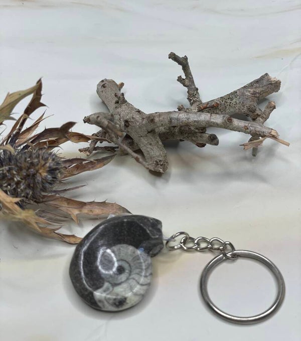 Ammoniet/Goniatiet sleutel hanger