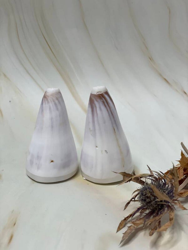 Zout en Peper set je van Schelpen