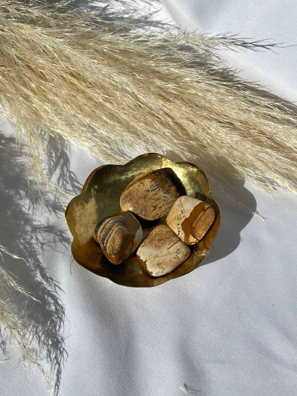 Jaspis landschap trommelsteen