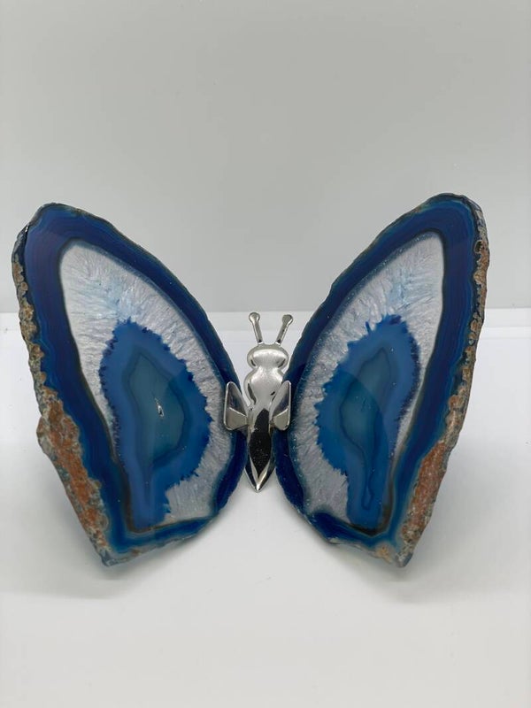 Agaat vlinder blauw