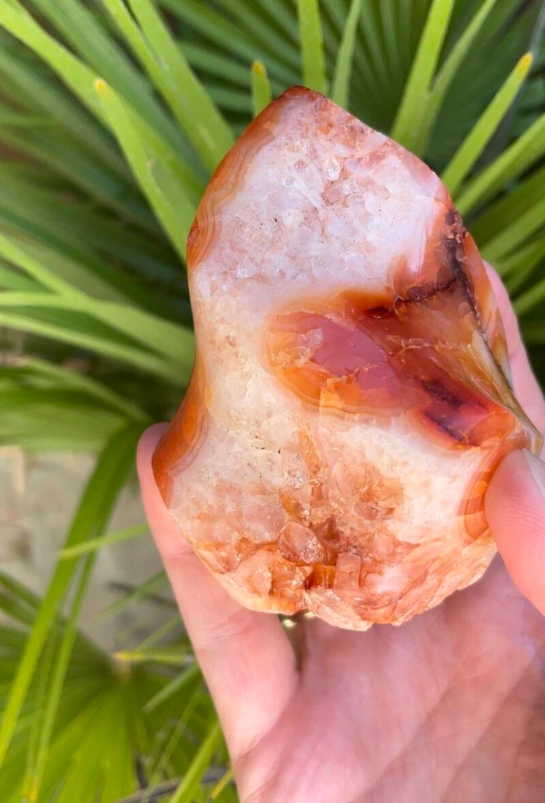 Carneool vlam met Druzy