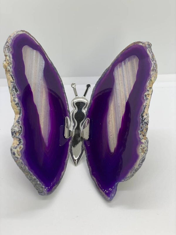 Agaat vlinder paars