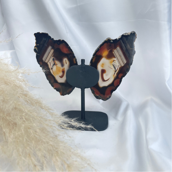 Exotische vlinder op standaard