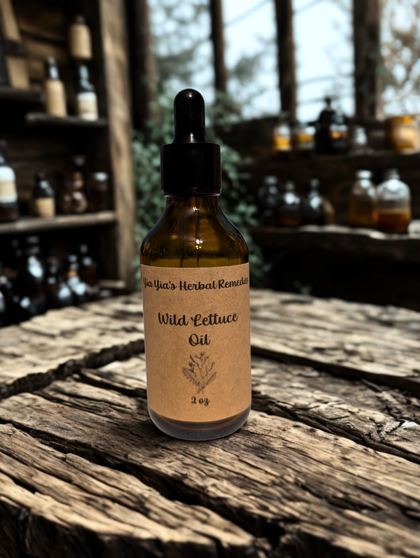 Wild Lettuce Infused Oil