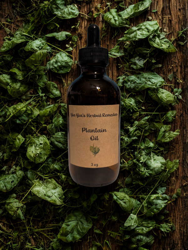 Plantain Infused Oil