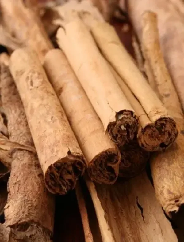 Cannelle de Ceylan