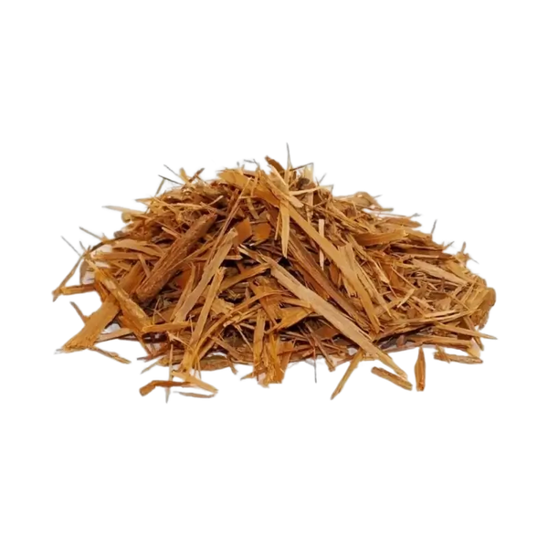 Catuaba, Écorce (Erythroxylum catuaba)